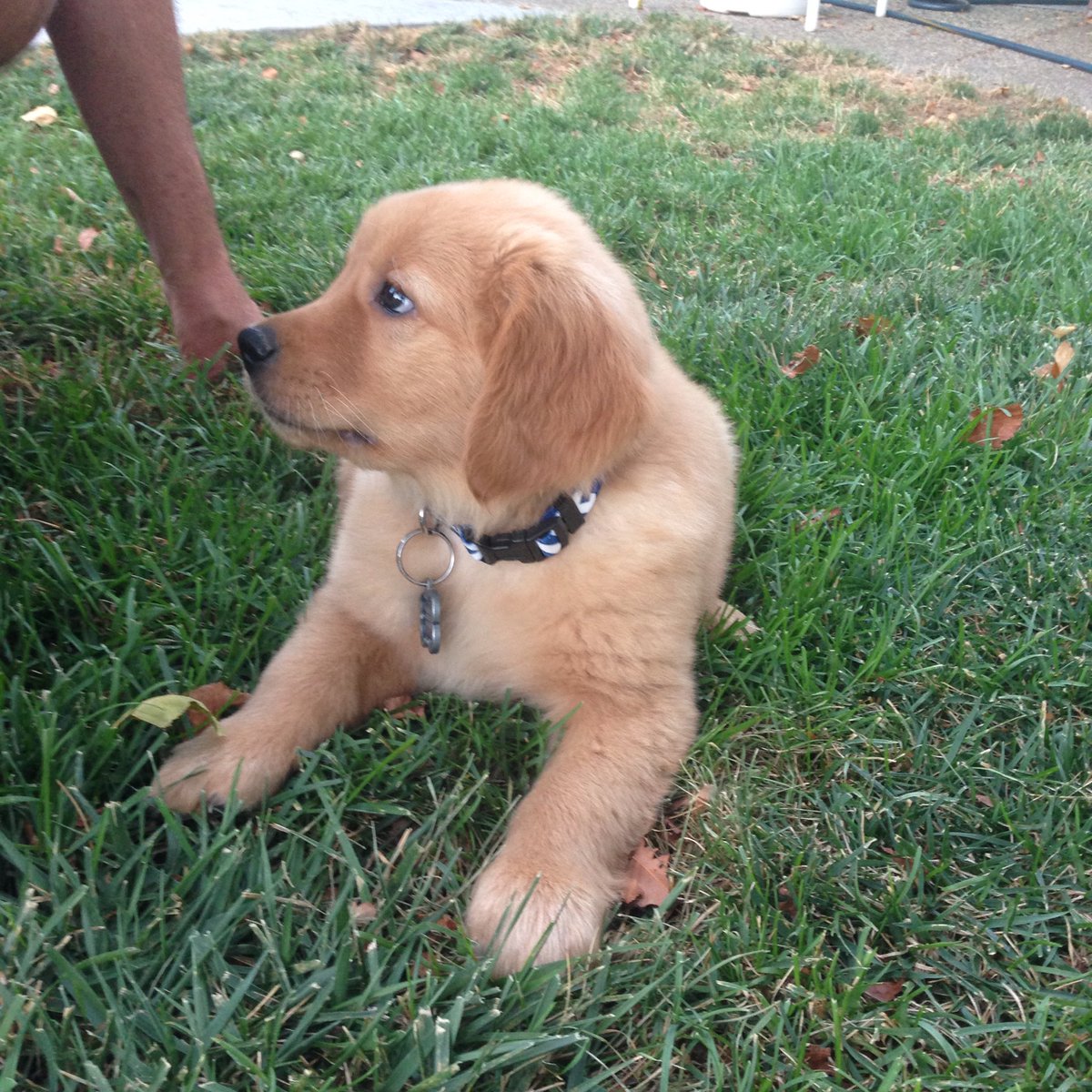 KevinBlack_KB's tweet photo. Dodger is finally here https://t.co/Sahyhlj3H1