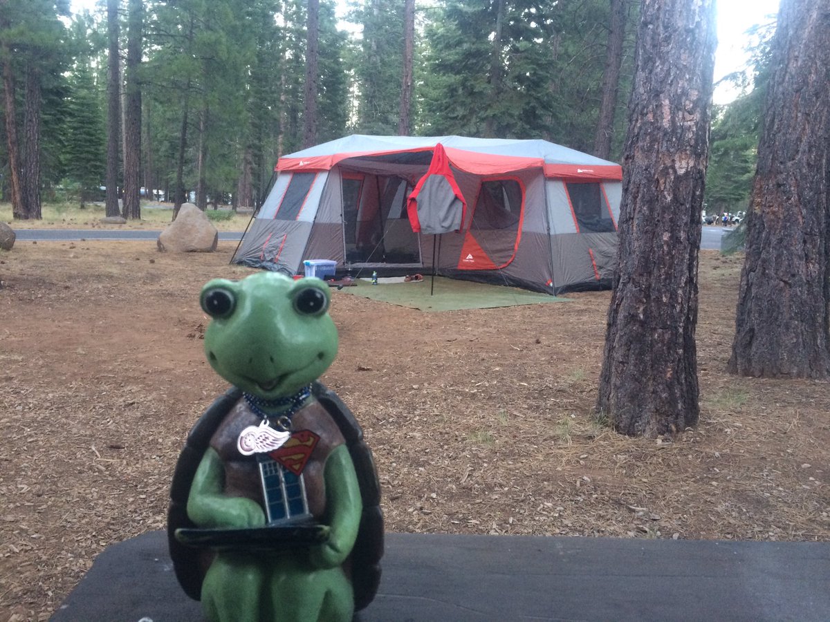 TurtleTyme713's tweet photo. Home sweet Home for a few nights with other Nelsons! #thetravelingturtle #thetoddlets @toddlarowe https://t.co/d3MiiYCklp