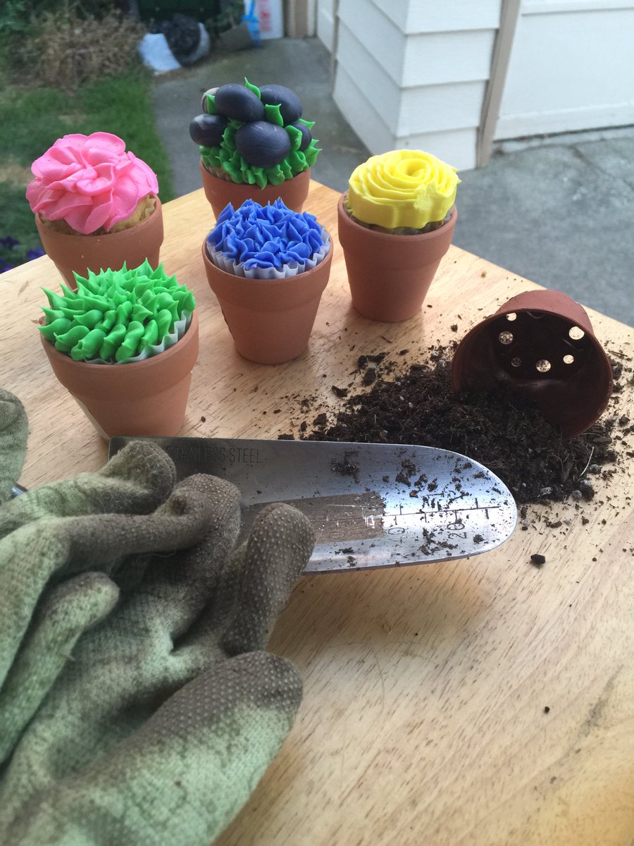 emilydgress's tweet photo. #cupcakes #flowers #plants #rocks #tinypots #planting #baking #birthday https://t.co/HpzNR44xdU