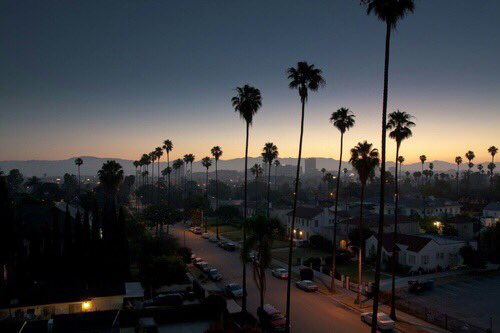 chooseonefl's tweet photo. ･ﾟ✧✫ choose one☾*:･ﾟ✧ https://t.co/5rnWeNRj4x