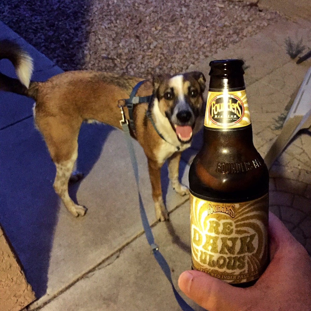 HopHeadFred's tweet photo. Not sure how you go about walking your dog but I'm sure U R doing it all wrong. #brewedforus #Nowyouknow #doglife https://t.co/cAOhUjA8uI