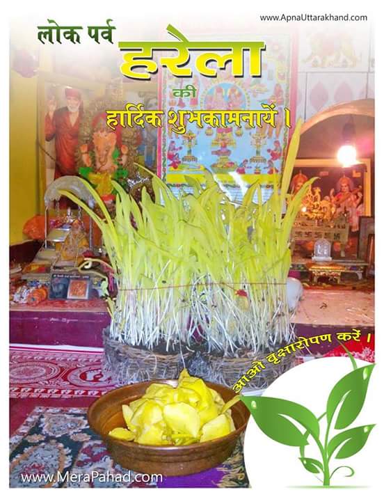 bheem82singh's tweet image. Good Mornig