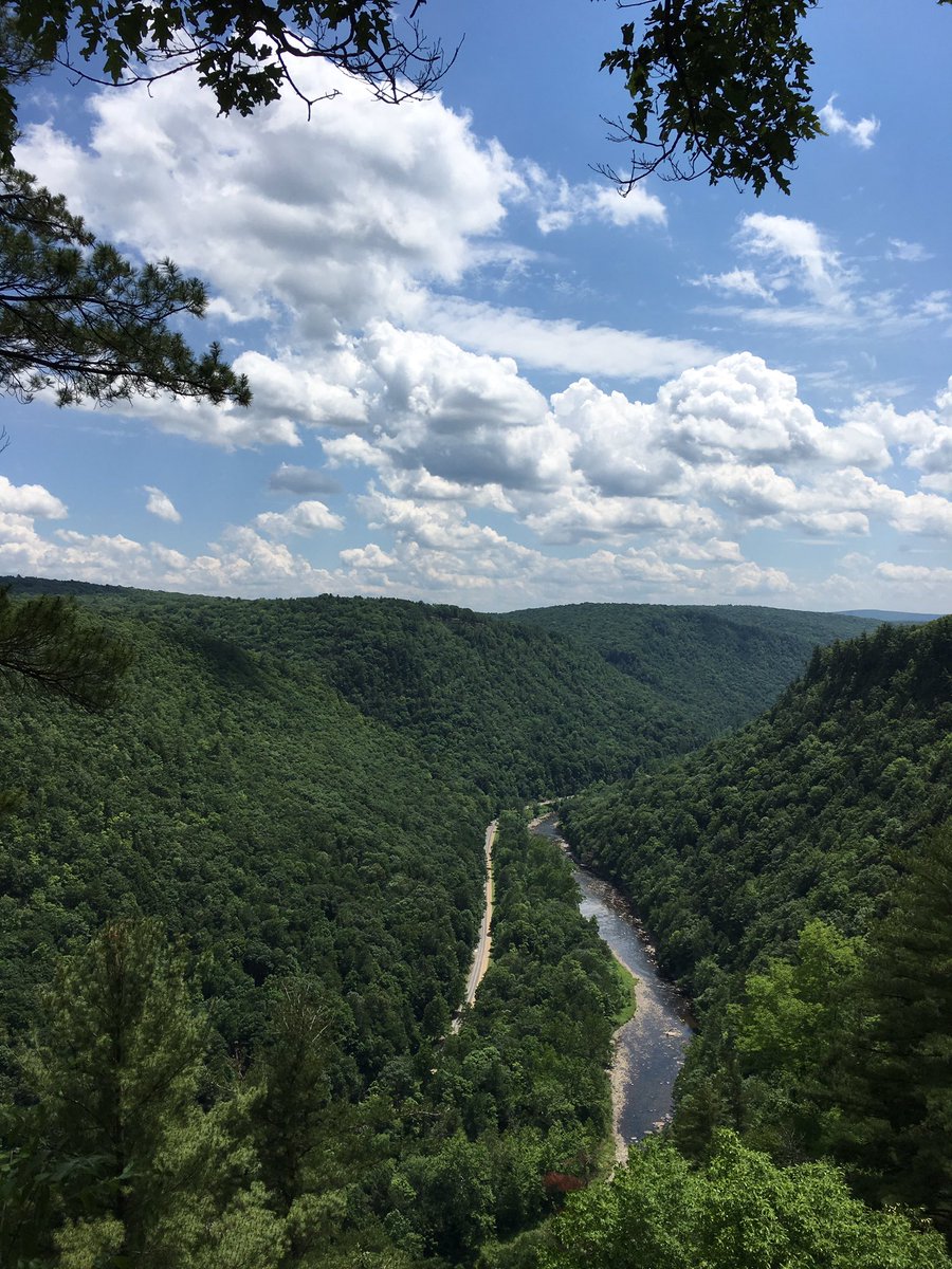 lisa_higuchi's tweet photo. Couldn't soak up enough beauty the first time. Vista number two. #ColtonPointStatePark #PineCreekGorge #Tioga https://t.co/fxiGlq46g3