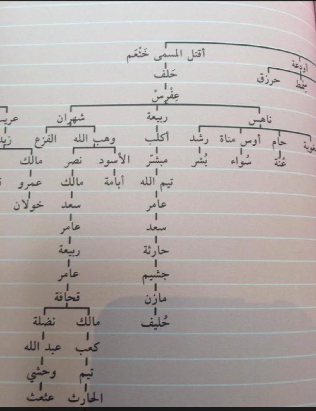 عامر العمري ar Twitter: “تفرعات قبيلة خثعم(شهران، ناهس، ربيعة، كود)… ”