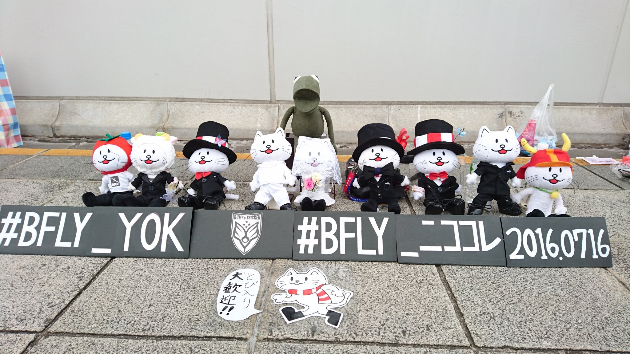 Bfly ニココレ Twitter Search Twitter