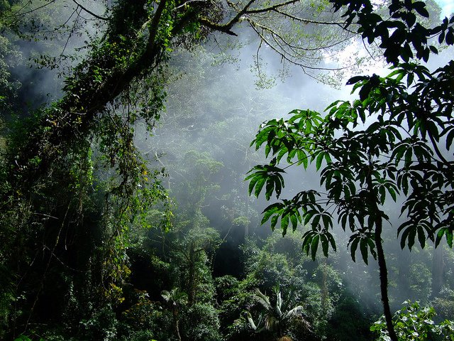 RnfrstAlliance tweet picture