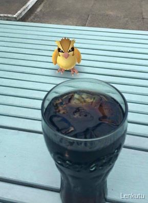 The Pokémon are having drinks in our garden!!!! #PokemonGO