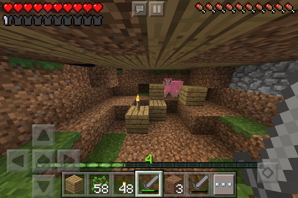 theawesomeman6's tweet image. Pinks sheep house upgrade