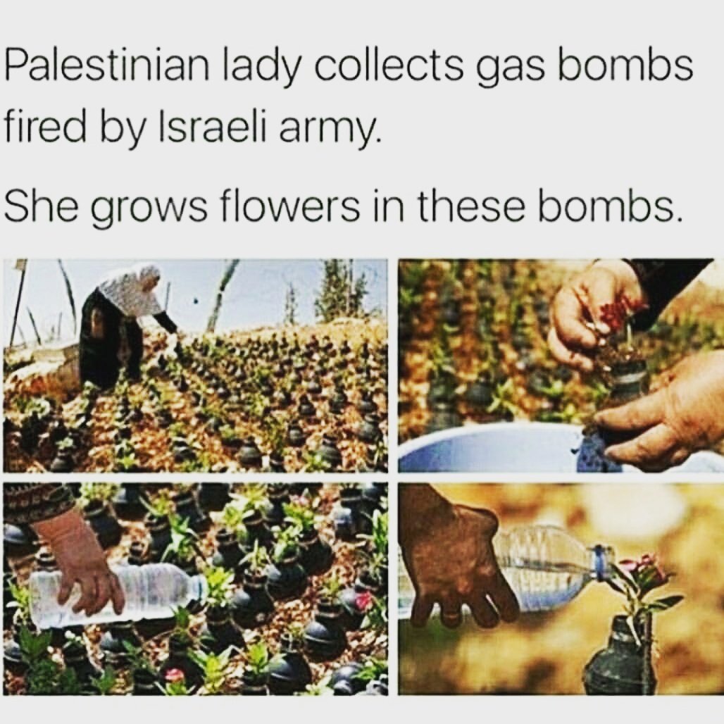 iamTahirashah's tweet photo. #Freekashmir #freepalestine #freesyria #freeiraq #freeyeman #freelibya 
#pakistan https://t.co/h23Q1KsJTW