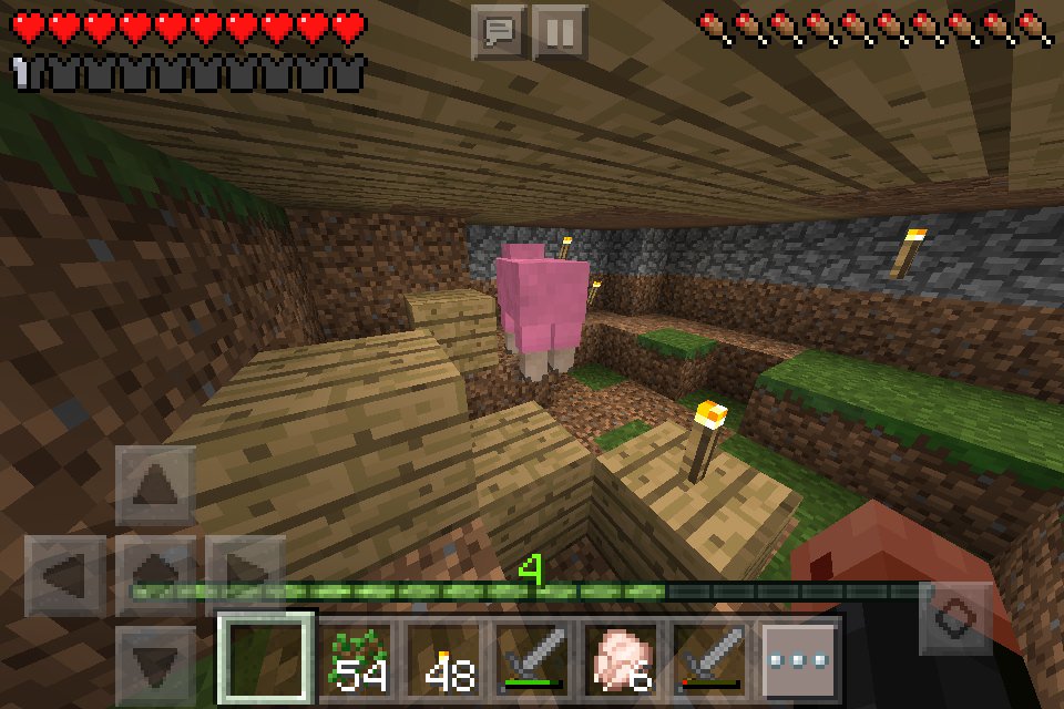 theawesomeman6's tweet image. Pink Sheeps house vs My house