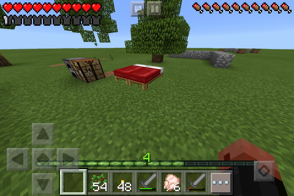 theawesomeman6's tweet image. Pink Sheeps house vs My house