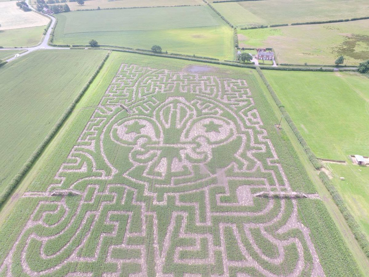 redhousefarm's tweet photo. JUST ANNOUNCED: And this years Maize Maze is ... dedicated to Centenary of Cubs #cubs100 #altrincham https://t.co/rQTldS9BOe
