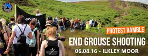 Three weeks today! Join our protest ramble on #Ilkley Moor to oppose grouse shooting. bit.ly/1Umydqz