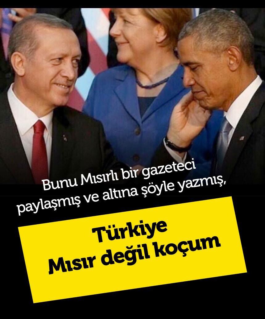 Mısırlı bir gazeteci şöyle yazmış!