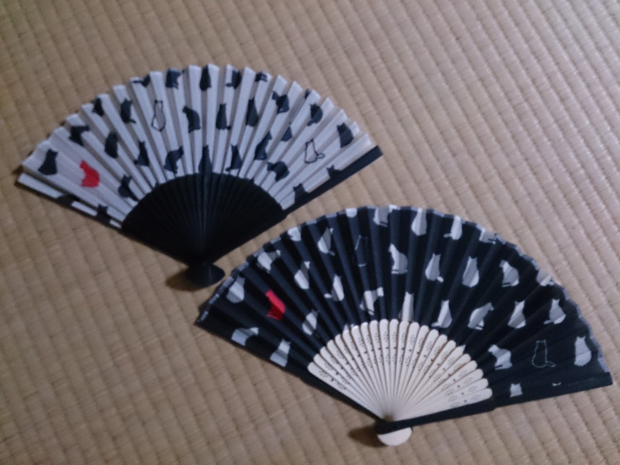 眞 ダイソーの猫柄の扇子 どこいっても売り切れてたのに大量に入ってた