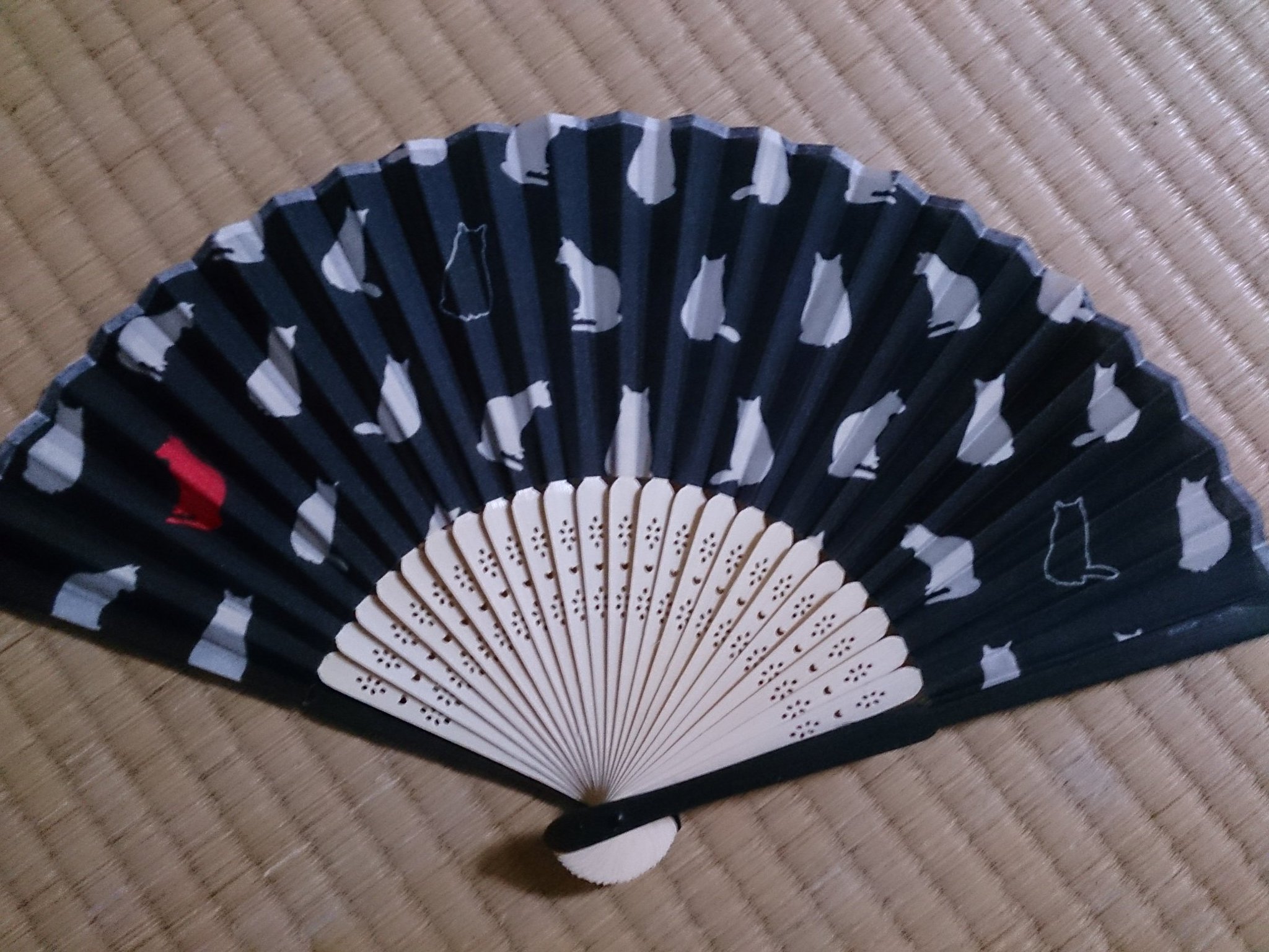 眞 ダイソーの猫柄の扇子 どこいっても売り切れてたのに大量に入ってた