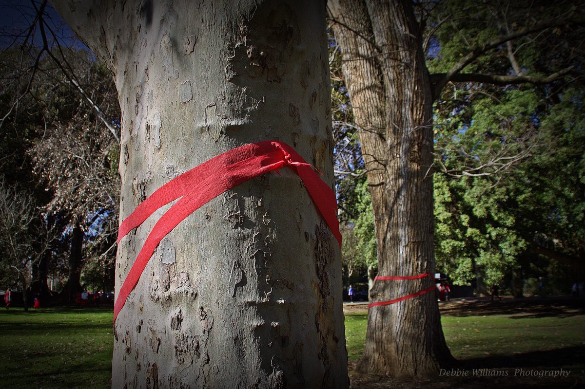 Our beautiful park! #BotanicParkAdelaide #KateBush #WutheringHeights
