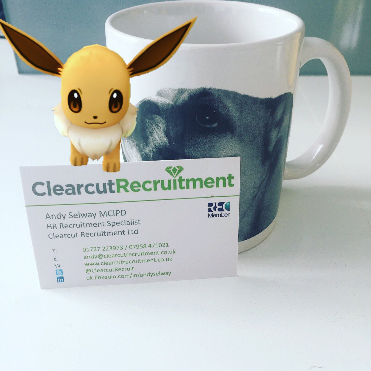 YourHRC's tweet photo. Hunting Pokemon is fun. But if you're hunting for your next HR role give us a call at @ClearcutRecruit #lovehr #cipd https://t.co/384XVHjESD