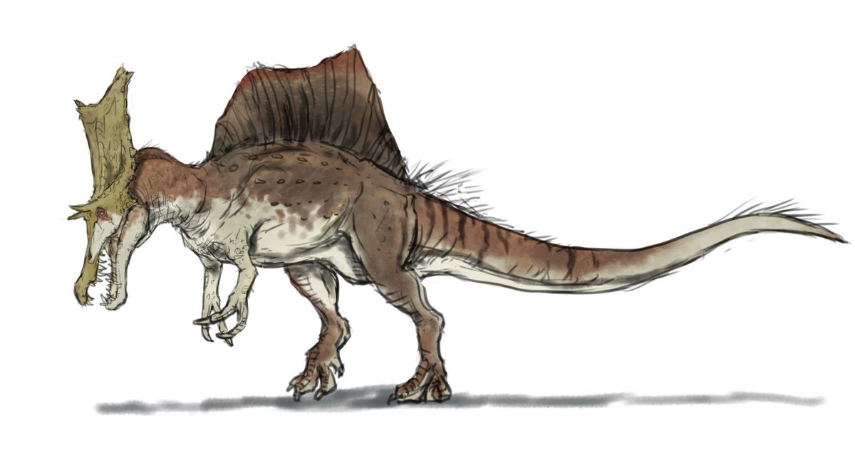ありヒノコ 古生物版深夜の真剣お絵描き60分一本勝負 お題 カスモサウルス ティラノサウルス スピノサウルス デザインを考える時間は60分に含まれてないです 混ぜるのがルール違反にならなきゃいいけど