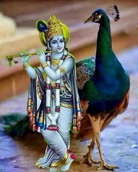 mtiwarioffice's tweet photo. GE🙏 @aamsr @NarsipKaur @frontiermail @SuperpariR @pragya_as @nsbchd @sanat397 @CM_P17 @YBISL @SodhiJin @greatairi https://t.co/mFUgsQDAqu