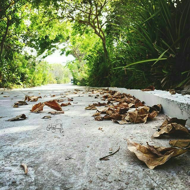 MMalak24's tweet photo. عَ ضِفافِ "الأملْ " 💛🌿
.          سَتنبُتُ
"زُهورُ السَعآدَةِ " يَومًا ما 🌾

#قروب_فخامة_للتبادل
#ملاك_المياحي https://t.co/WvOOp87dpK