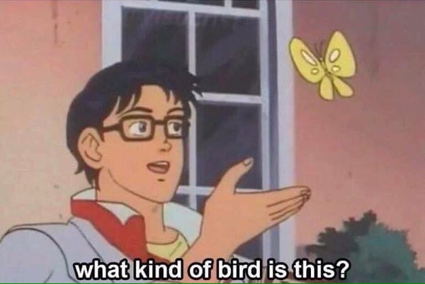 PopMathobela's tweet photo. When your data runs out &amp; you're 'forced' to get to know your surroundings 👀😂😂😂😂😂😳
https://t.co/9cO7Y9PVd5