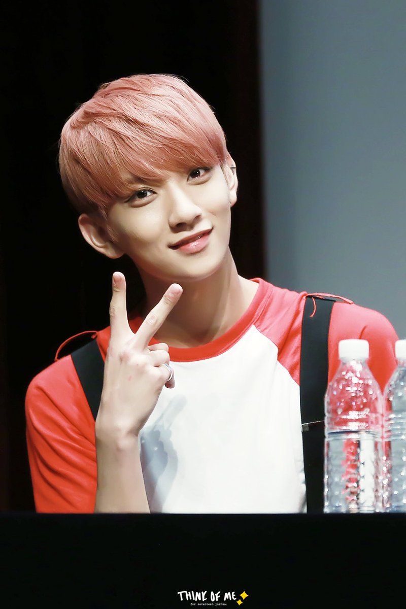 thinkofme1230's tweet photo. 160716 상암팬싸 #세븐틴 #조슈아 #지수 #SEVENTEEN #JOSHUA #JISOO #아주NICE @pledis_17 https://t.co/6Y1yR0bvBv