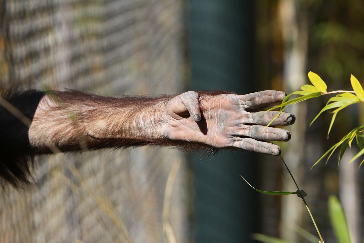 EarthisHeavenly's tweet image. 