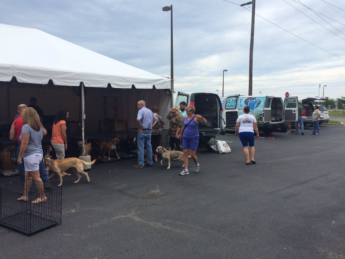 Getting set up for a huge event in Myrtle Beach with over a 100 pets for adoption! #CAW #adoptlove <a href="/jeffedwards105/">jeff edwards</a>