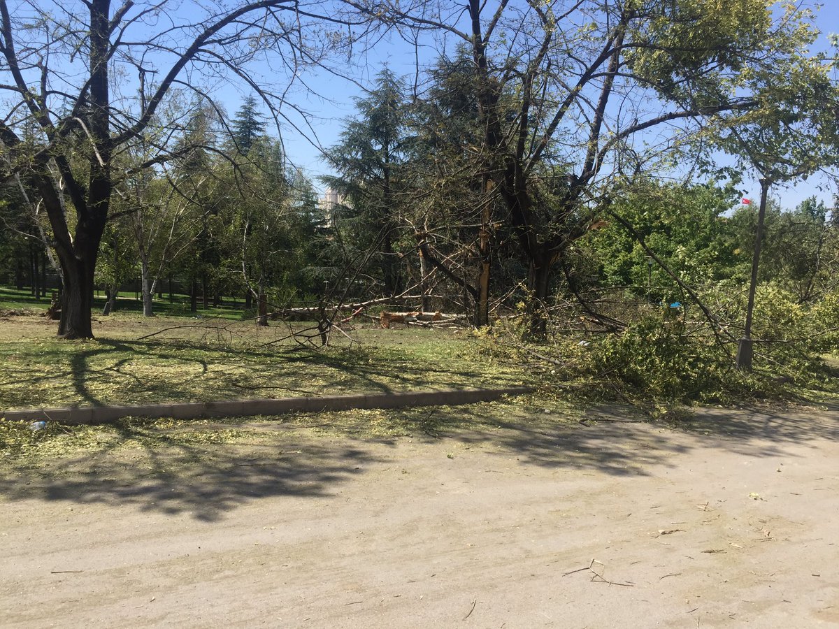 Erdal Doğan tweet media