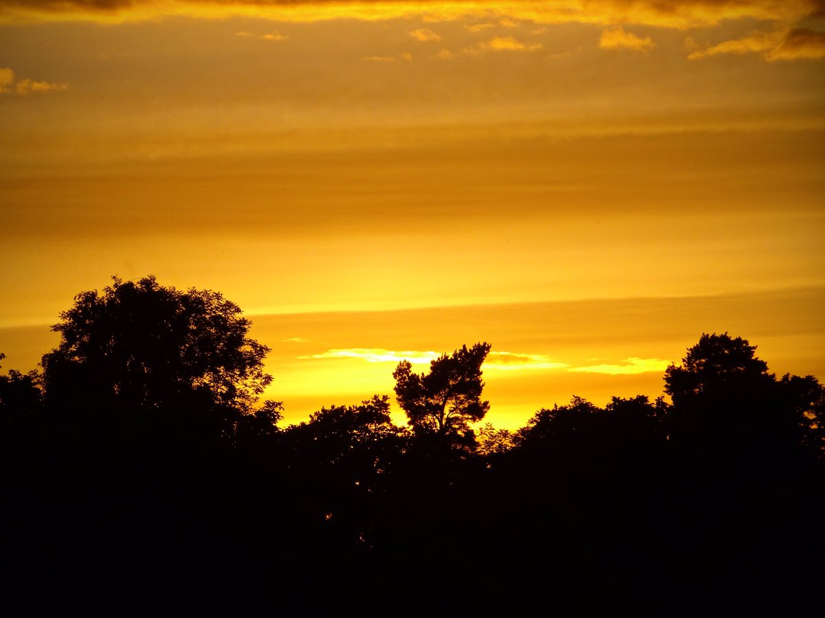 Chris_Foe's tweet photo. Sunset 🌅 https://t.co/QE1pORiCDr #sunset #sweden https://t.co/ykY7Qcm9yl