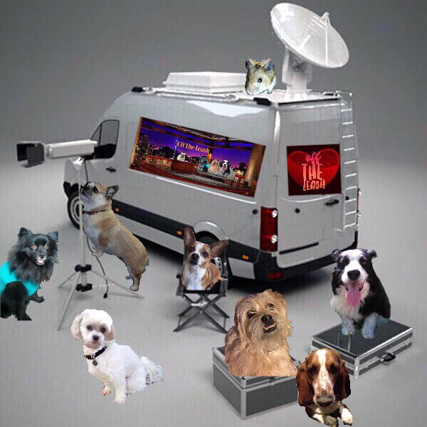 Pixie Tooth 🌈💔 tweet media