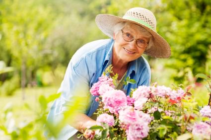 echocottages's tweet photo. “July is a critical time for starting a fall garden…” For tips on July gardening, read on: https://t.co/ODlL7zjodd https://t.co/nxKlJZ6g0m