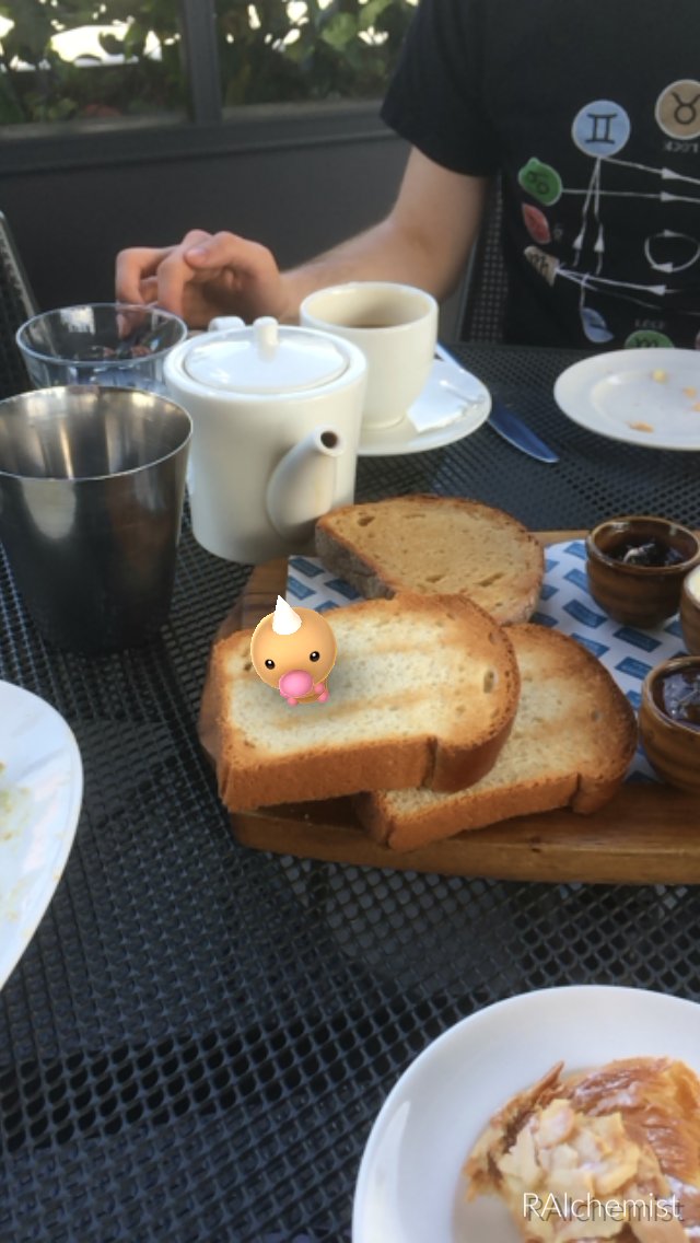 AlchemistDreams's tweet photo. Waiter! There's a weedle on my toast! @GreenwichKi https://t.co/l4YLIwETv6