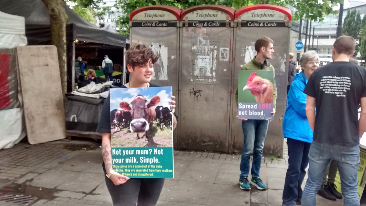 Manchester vegan out reach today :-) Piccadilly gardens