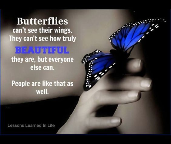 jimwallis_911's tweet photo. Good Morning from St. Louis! 🌞 Know That You Are Beautiful! ❤❤ @RespectYourself #SelfCareSaturday #mentalhealth https://t.co/6J4fwGjIr5