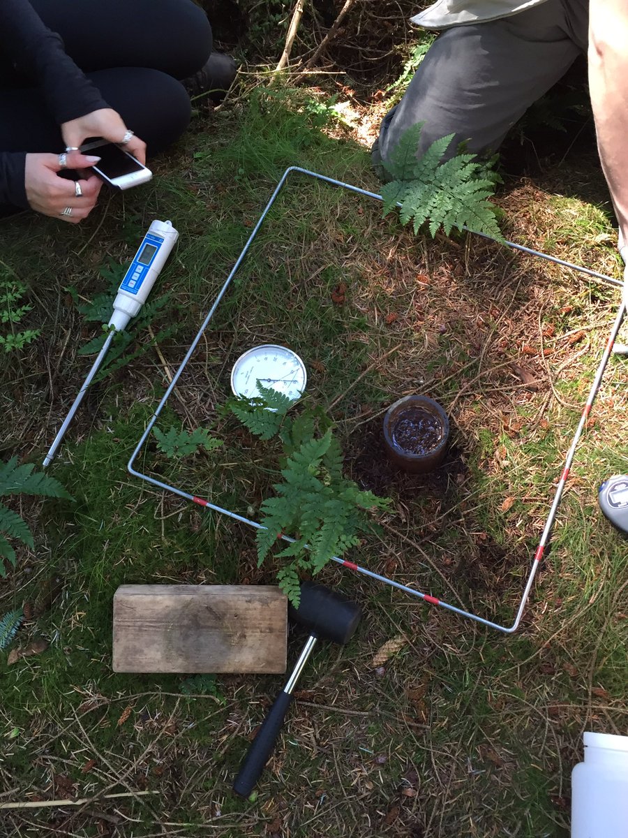 kate_stockings's tweet image. All the gear but do we have any idea? @RGS_IBGschools Physical Masterclass #yearoffieldwork #leadingandlearning