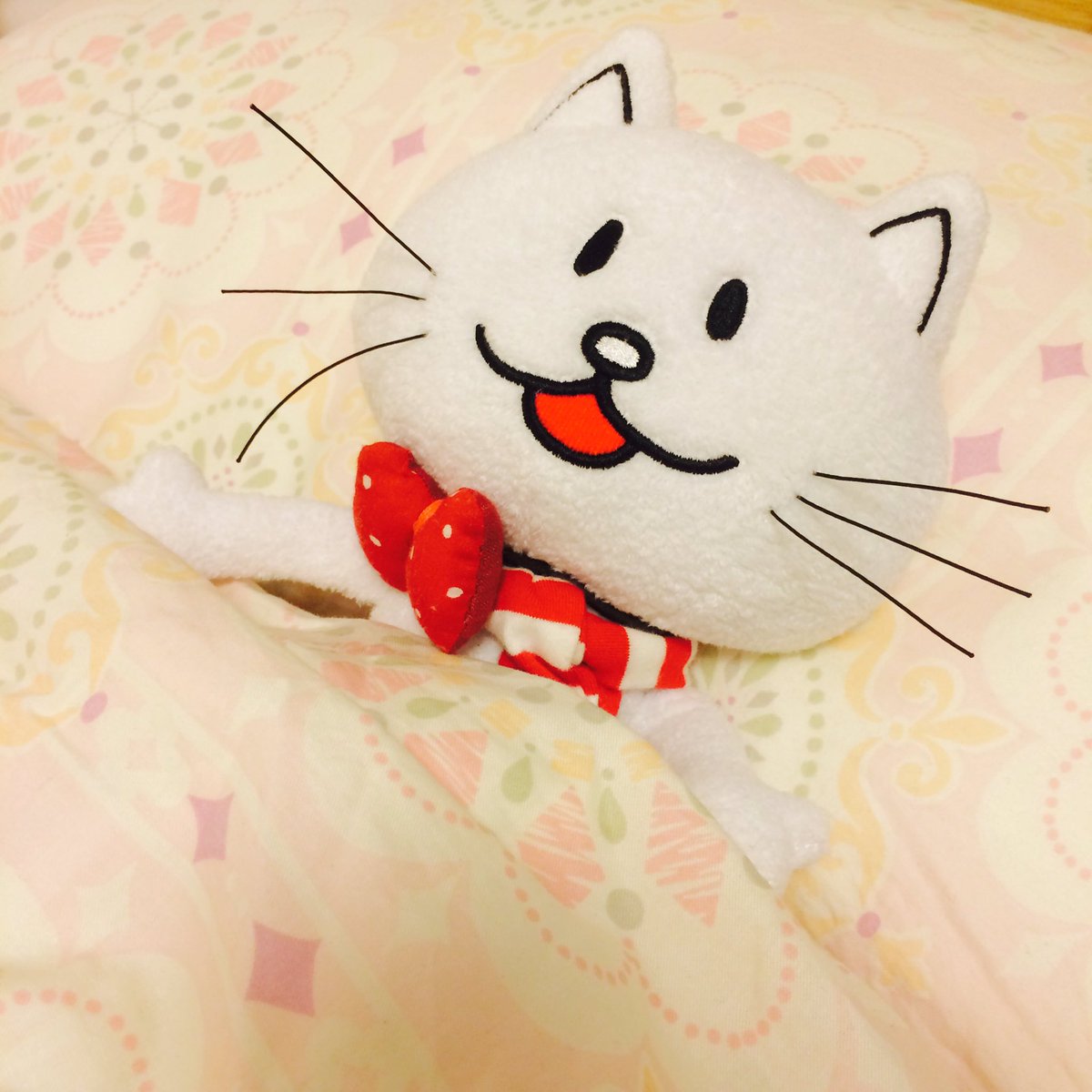 ただいま！今日からニコルと一緒だー！！
とっても楽しかった☺️おやすみなさい👼🏼
 #BFLY_YOK