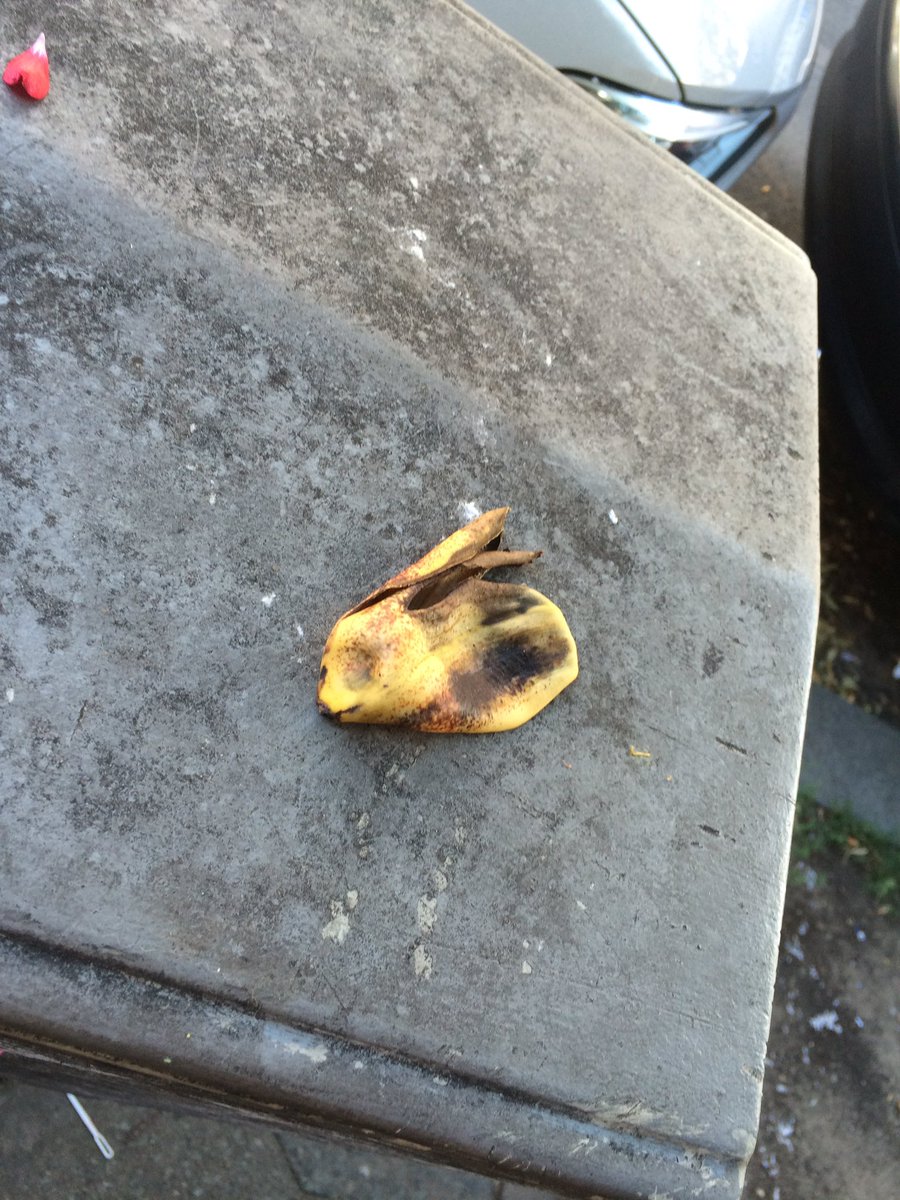 berlincore's tweet photo. Sie haben Pikachu getötet. #PokemonGO https://t.co/SiLS7FNL1D