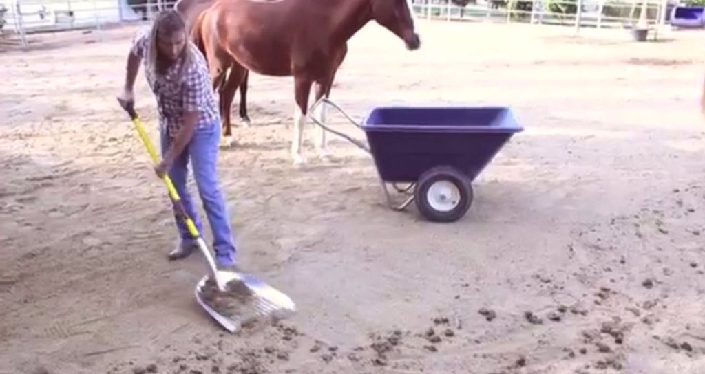 STALL SIFTER tweet media