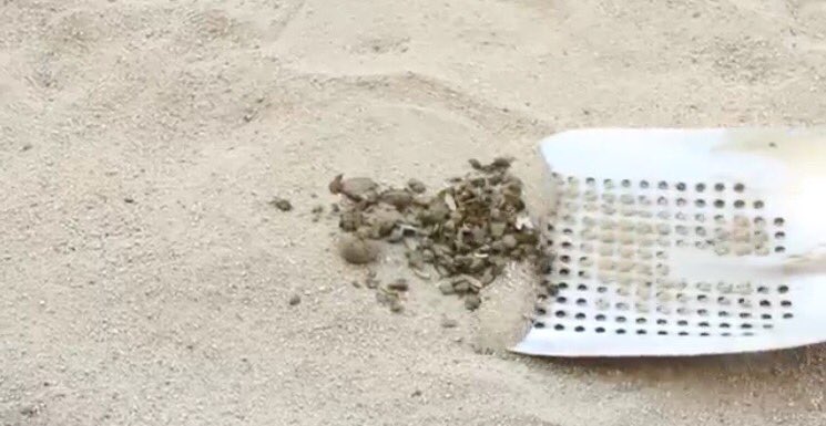 STALL SIFTER tweet media