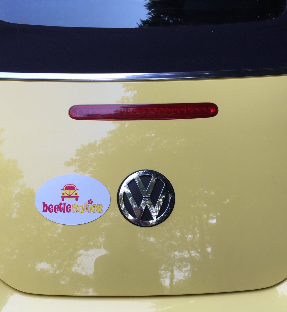beetlenationnow's tweet photo. Check out this FUN #VWBeetle Car Magnet!!! #BeetleNation #Volkswagen  https://t.co/e4ZbrsoHij via @eBay https://t.co/d7j8UG8A4Y