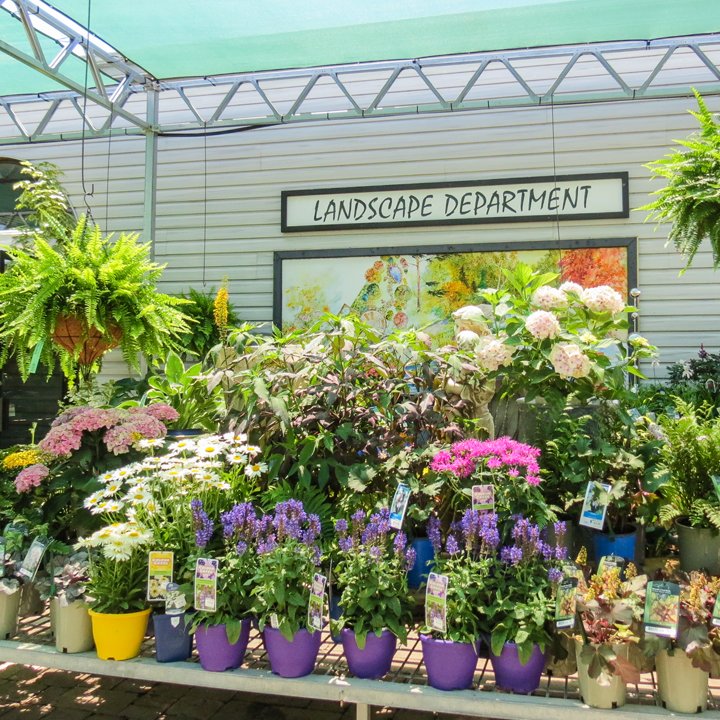 Still thousands of plants to choose from! Enjoy planting during this cooler weather... We sure will! #HappyPlanting