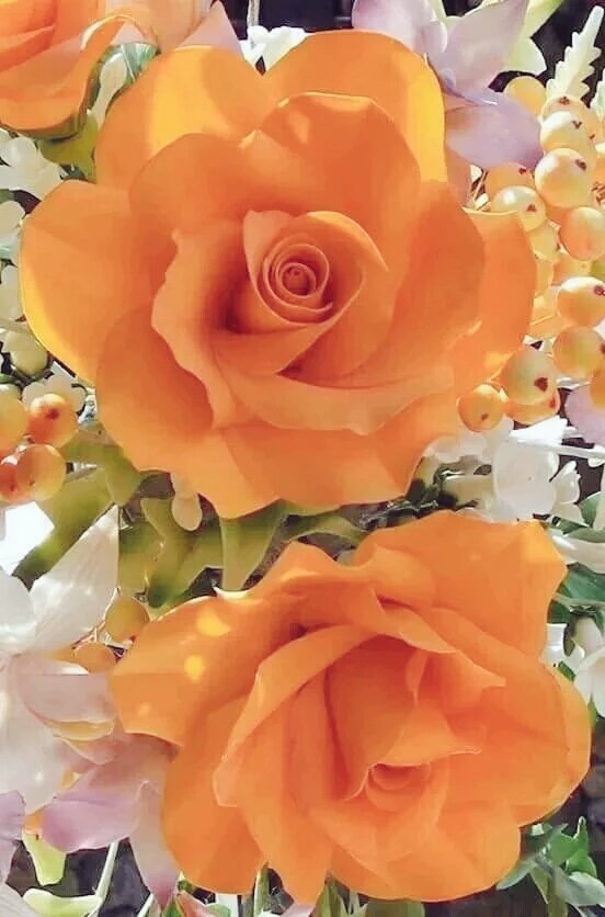 @DaaD01 <a href="/hennen35/">Hennen Silblak</a> @MonSitePhotos <a href="/bobbygreyone/">Tracy Harris</a> <a href="/layebin/">Abdoulaye Sall</a> <a href="/saulreyescalle2/">Saùl Reyes</a> <a href="/MonterosGR89/">Javier</a> <a href="/direkhat/">A-S-İ</a>