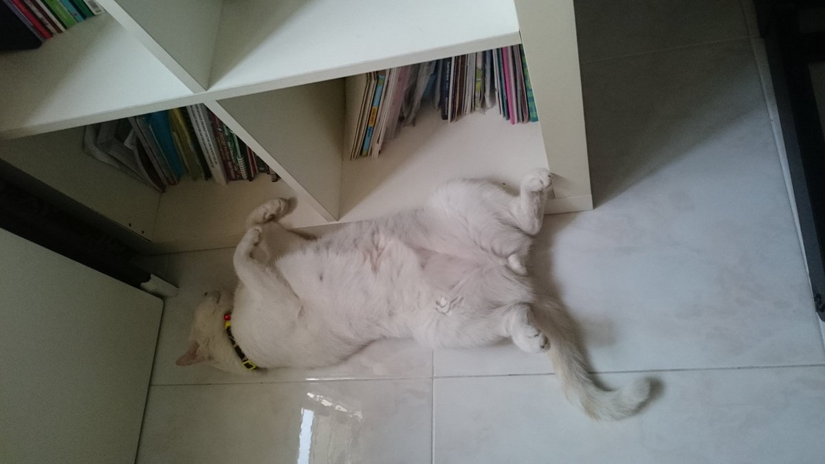 nadyRICH's tweet photo. Too tired after much reading. #Beatie https://t.co/LOltmrCNIk