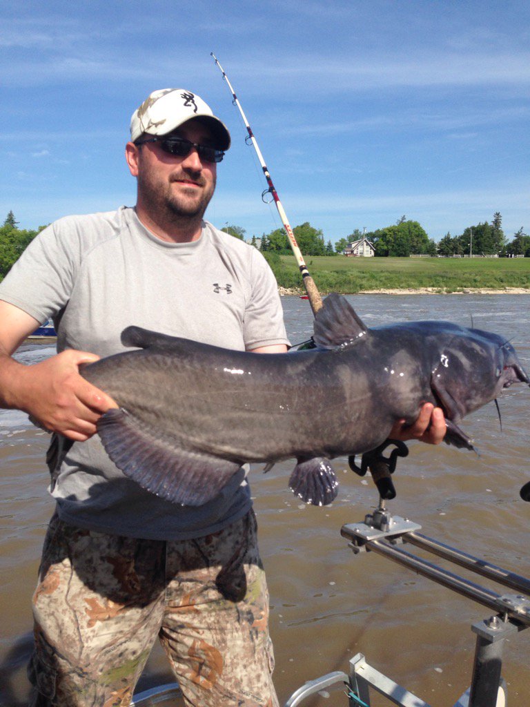 Catching kitties all day long! <a href="/MBfishinginfo/">Manitoba Fishing</a> <a href="/slinger_189/">Lonny</a> <a href="/petesprotackle/">Pete's Pro Tackle</a> <a href="/TravelManitoba/">Travel Manitoba</a>
