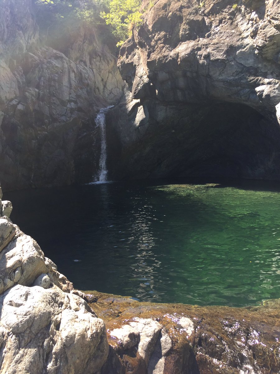 frarusca6's tweet photo. #spiace #lerca https://t.co/gDvDZnWu7P