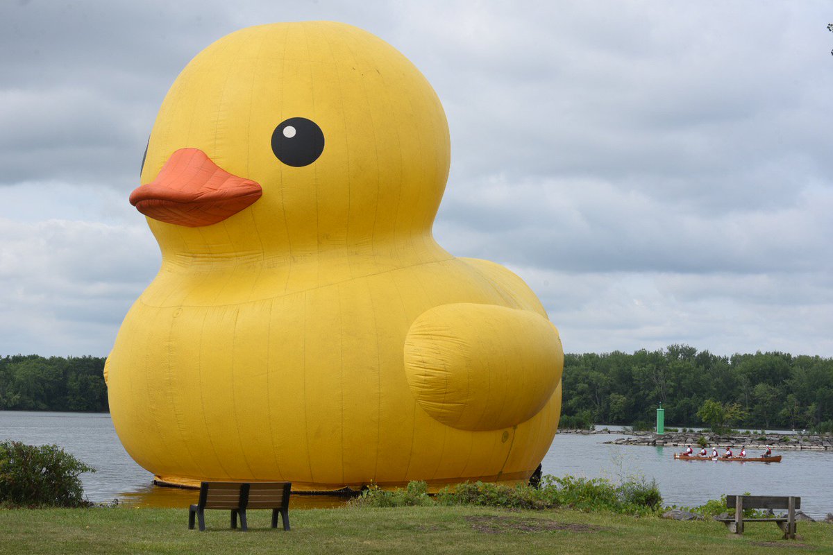 NYGovCuomo's tweet image. Also at #OnondagaLakeFest? Paddleboard competitions, food and wine tastings, and the world’s largest rubber duck!