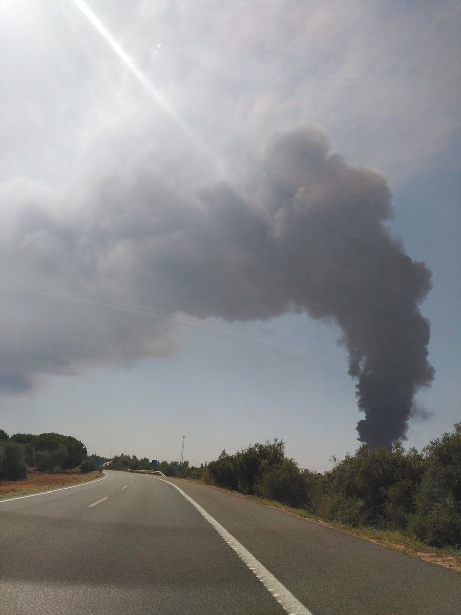 Marikushi3's tweet photo. @abcdesevilla impresionante el incendio de Ybarra https://t.co/Ut5srpdrxM