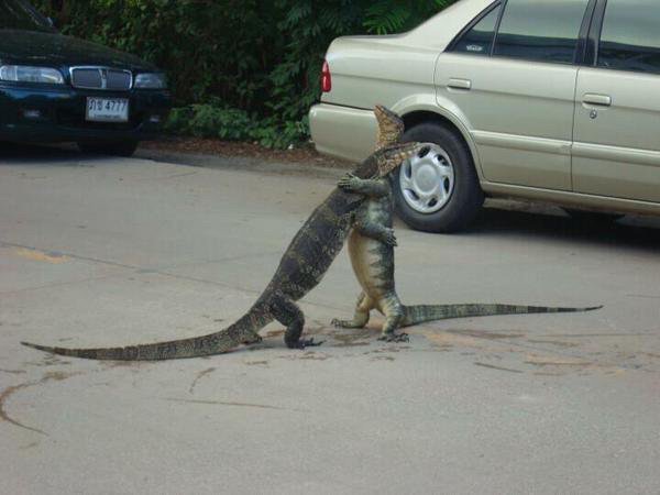 FRANK

FRANK, MAN, YOU’RE ALIVE

I just.. I saw this handbag man

It looked just like you

OH FRANK I’M SO RELIEVED!